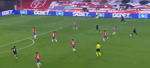 德约科维奇宣布退出职业网球运动员协会